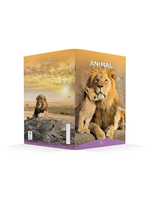 Animal Friends Elengace quaderno