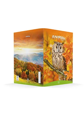 Animal Friends Elengace quaderno
