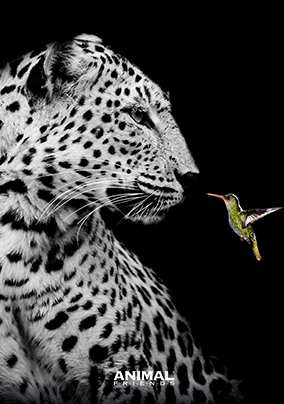 Animal Friends Elengace quaderno
