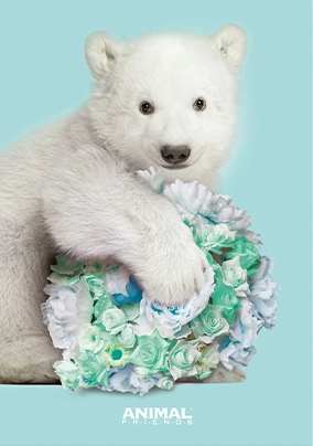Animal Friends Elengace quaderno